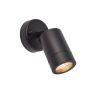 Endon PALIN 75436 Wandlamp 7W/GU10 IP44