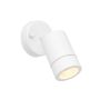 Endon PALIN 75443 Wandlamp 7W/GU10 IP44