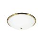 Prezent VIOLA 75352 Plafondlamp 2x40W/E14 IP20