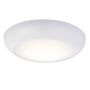 Endon FORCA 77892 Plafondlamp 12W/LED 4200K 1140LM IP65