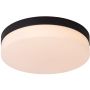 Lucide BISKIT 79111/30/30 Plafondlamp 1x18w/led 2700k 1150lm ip44