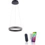 Paul Neuhaus Q-VITO 8410-13 Hanglamp 1x33W/LED 2700-5000k 3250lm ip20