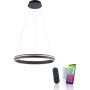 Paul Neuhaus Q-VITO 8411-13 Hanglamp 1x44W/LED 2700-5000k 4550lm ip20