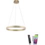 Paul Neuhaus Q-VITO 8411-60 Hanglamp 1x44W/LED 2700-5000k 4550lm ip20