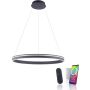 Paul Neuhaus Q-VITO 8412-13 Hanglamp 1x65W/LED 2700-5000k 7000lm ip20