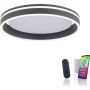 Paul Neuhaus Q-VITO 8414-13 Plafondlamp 1x33W/LED 2700-5000k 3250lm ip20
