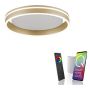 Paul Neuhaus Q-VITO 8414-60 Plafondlamp 1x33W/LED 2700-5000k 3250lm ip20