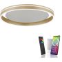 Paul Neuhaus Q-VITO 8416-60 Plafondlamp 1x44W/LED 2700-5000k 4570lm ip20