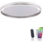 Paul Neuhaus Q-VITO 8418-55 Plafondlamp 1x65W/LED 2700-5000k 7000lm ip20