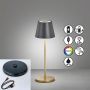 Fischer&Honsel Cosenza 850338 Tafellamp 2x2W/LED RGBW 180lm IP44