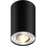 Zuma Line RONDOO 89201-N Opbouwspot 1x50W/GU10 IP20