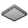 Eglo FUEVA 5 900647 Plafondlamp 1x17W/LED 3000K 2000LM IP44