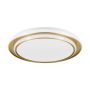 Eglo MOSCHETTA 902045 Plafondlamp 36W/LED 2700K, 4000K, 6500K 4800lm ip20
