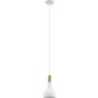 Eglo SABINAR 901177 Hanglamp 1x40w/e27 ip20