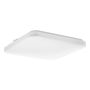 Eglo FRANIA-IP 902076 Plafondlamp 18W/LED 3000K, 4000K, 6000K 2100lm ip44