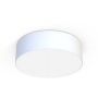 Nowodvorski CAMERON IV 9606 Plafondlamp 4x25W only LED/E27 IP20