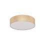 Eglo VISERBELLA 97641 Plafondlamp 1x60W/E27