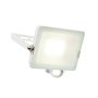 Endon SALDE 98445 Halogeenlamp 30W IP65