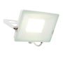 Endon SALDE 98446 Halogeenlamp 50W 4000K IP65