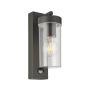 Endon HAYDEN PIR 99756 Wandlamp 15W/E27 IP44