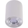 AZzardo BROSS SMART WIFI AZ3735 Opbouwspot 1x5W/GU10 2700K-6500K 340LM IP20