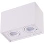 AZzardo ELOY 2 SMART WIFI AZ3783 Opbouwspot 2x10W/GU10 2700K-6500K 680LM IP20