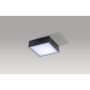 AZzardo FALCO2 AZ2783 Plafondlamp 1x12W/LED 4000K 955LM IP20