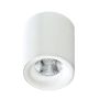 AZzardo MANE AZ2845 Opbouwspot 1x10W/LED 3000K 760LM IP20