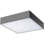 AZzardo MONZA II S 30 SMART WIFI AZ3265 Plafondlamp 1x36W/LED 3000K 3060LM IP20