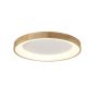 AZzardo SILVAM AZ2698 Plafondlamp 1x50W/LED 3250LM