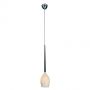 AZzardo IZZA AZ0131 Hanglamp 1x50W/E14 IP20