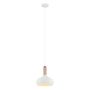 Italux QUESMO MDM-3029/1 W+COP Hanglamp 1x60W/E27