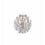 Markslojd ROSENDAL 102334 Wandlamp 1x40W/E14