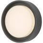 Dar Lighting RALPH RAL5239 Wandlamp 1x9W/LED 3000K 626LM IP65