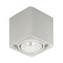 Italux BONNIE SLC78004/10W WH Opbouwspot 1x10W/LED 840LM IP20