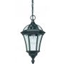 Endon DRAYTON YG-3503 Hanglamp 1x60W/E27 IP44