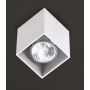 Maxlight PET SQUARE C0082 Opbouwspot 1x50w/gu10 ip20