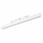 Azzardo ALFA KIRA Magnetic AZ6503 Railspot 1x24W/LED 3000 / 4000 / 6000k IP20