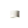 Azzardo ALIA AZ6225 Glazen kap IP20