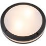 AZzardo FANO R 30 SMART LED RGB AZ4784 Plafondlamp 24W/LED 2600K-6000K 1720LM IP54