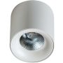 AZzardo MANE AZ4152 Opbouwspot 1x20W/LED 3000K IP20