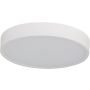 Azzardo PANDINO AZ6583 Plafondlamp 1x23w/led 2800k/4000k/5400k 1518lm ip44