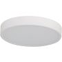 Azzardo PANDINO AZ6587 Plafondlamp 1x18w/led 2800k/4000k/6000k ip44