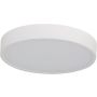 Azzardo PANDINO AZ6589 Plafondlamp 1x24w/led 2800k/4000k/6000k ip44