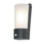 Elstead Lighting SECURITY LANTERS AZ-LE7-D-GRY-PIR Wandlamp 1x18W/LED IP44