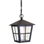 Elstead Lighting CANTERBURY BL48M-BLACK Hanglamp 1x60W/E27 IP43