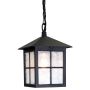 Elstead Lighting WINCHESTER BL18B-BLACK Hanglamp 1x60W/E27 IP43