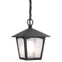 Elstead Lighting YORK BL6B-BLACK Hanglamp 1x60W/E27 IP43