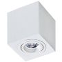 AZzardo BRANT AZ2824 Opbouwspot 1x50W/GU10 IP20