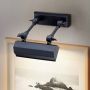 Elstead Lighting CHAWTON CHAWTON-PLS-BLK Schilderijlamp 1x40W/E14